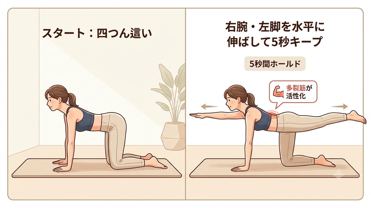 腰痛セルフケア：バードドッグ（四つん這いで右腕と左脚を水平に伸ばして5秒キープ）