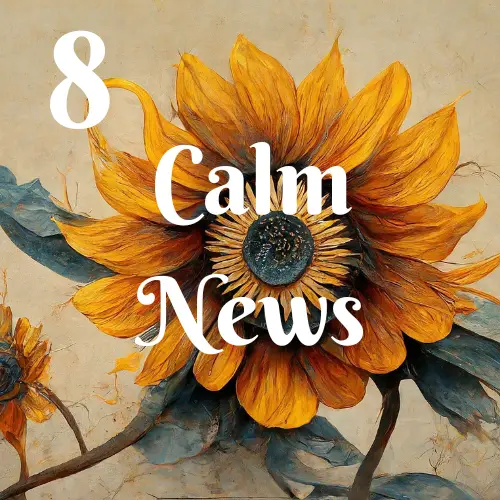 高麗手指鍼・キャンセルポリシー Calm NEWS 2024年8月号