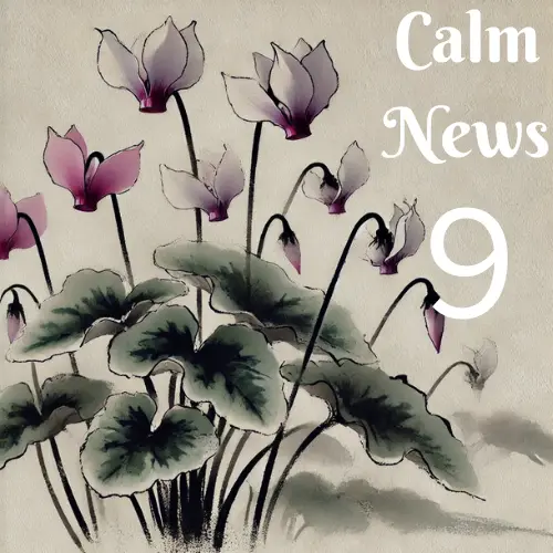 伝統的なお灸が好評です　Calm NEWS 2024年9月号