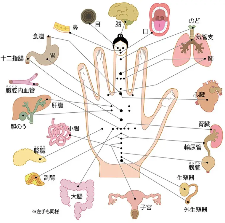 手指鍼について