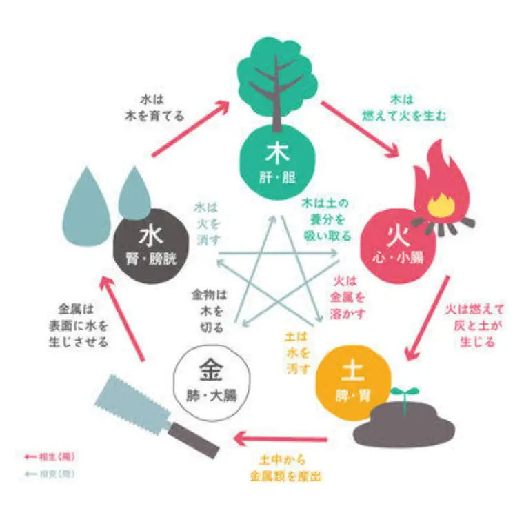 【知りたい東洋医学】足腰に力が入らないのは○○だから？！
