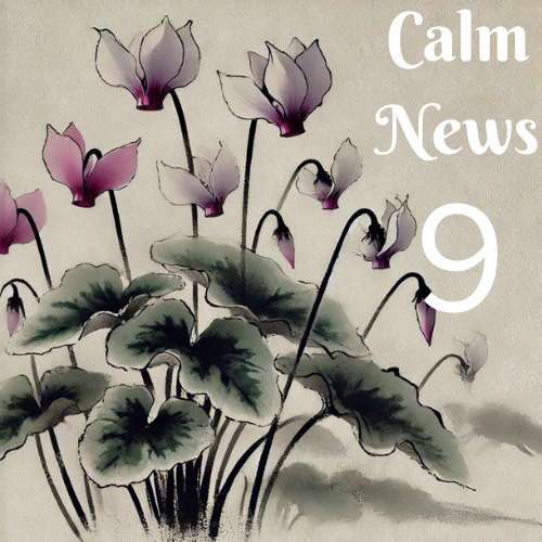 伝統的なお灸が好評です Calm NEWS 2024年9月号