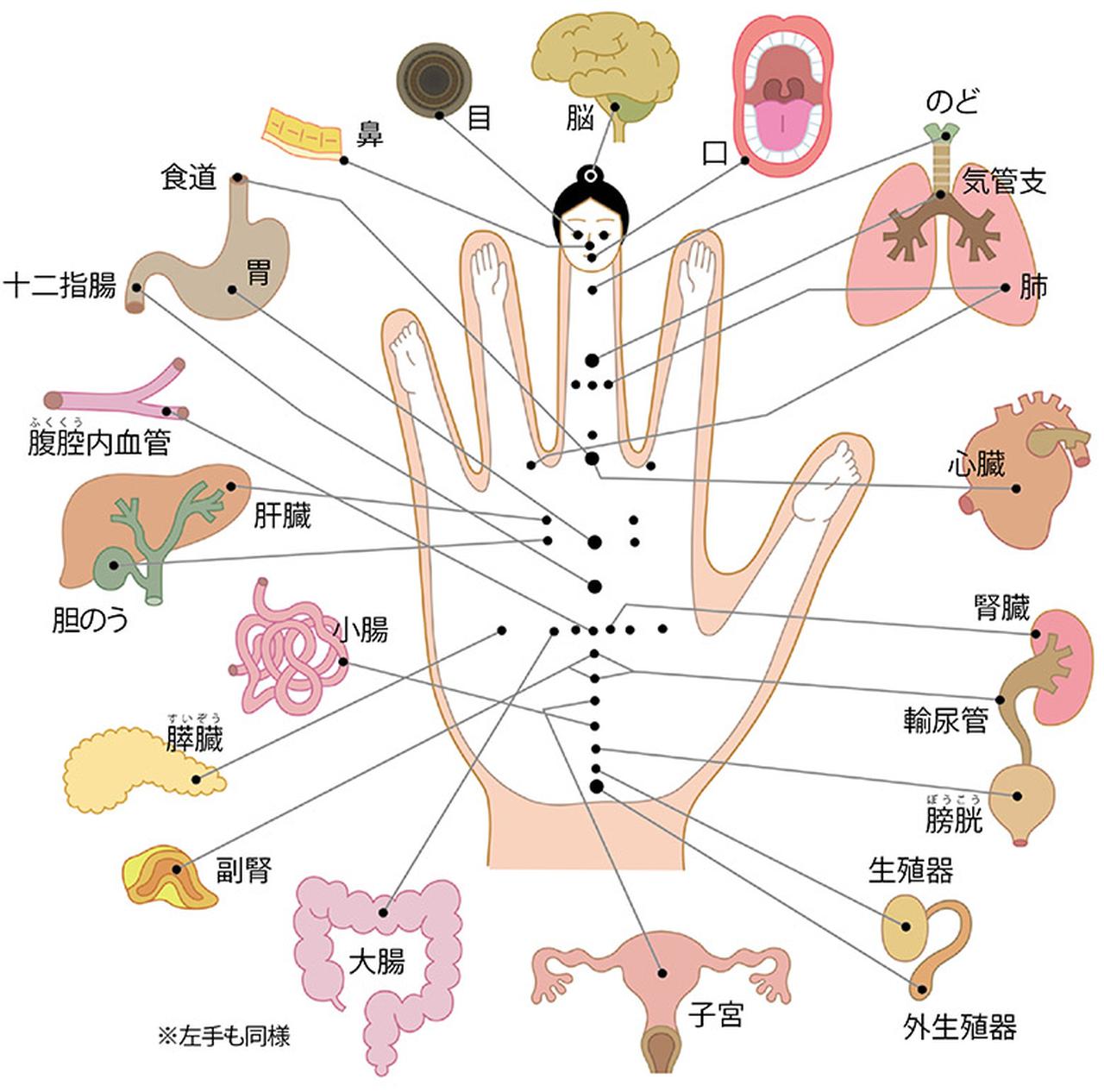 手指鍼について
